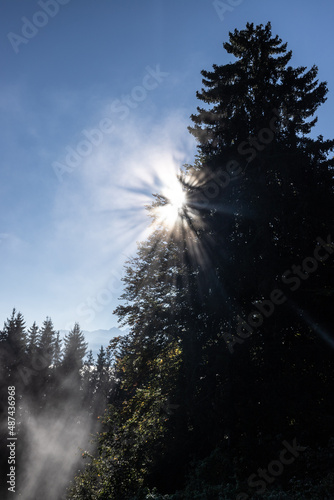 Nebel im Sonnenlicht photo