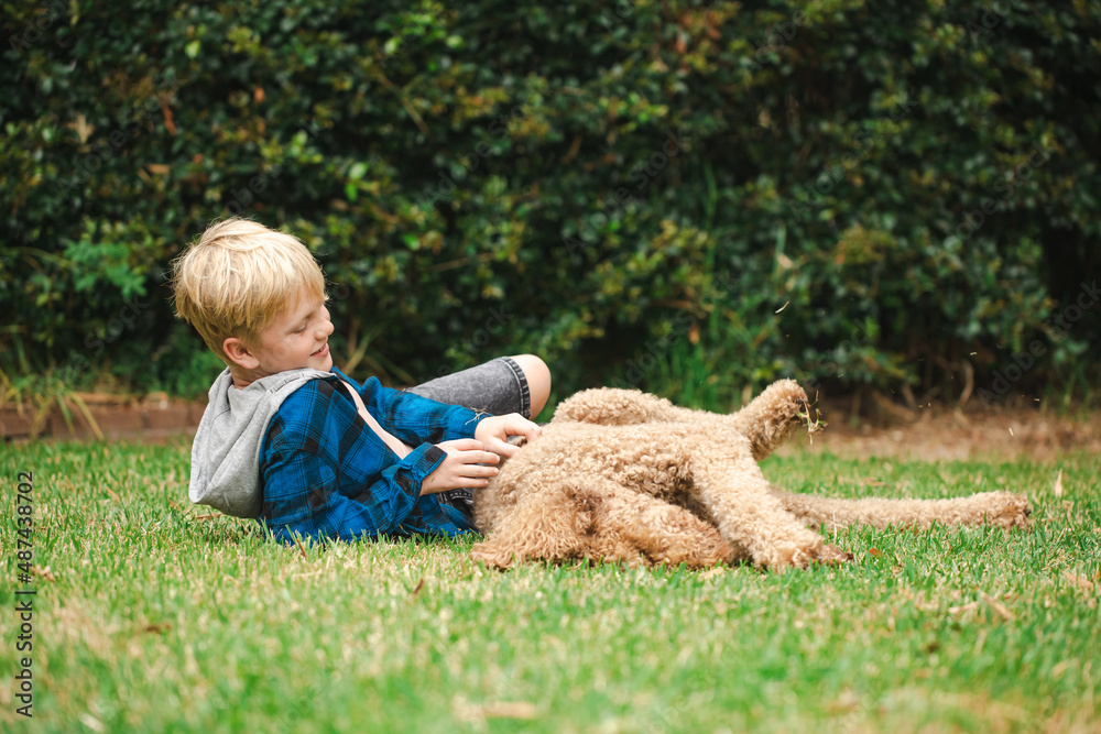 Cute blonde pre-teen boy lying on grass with happy groodle dog