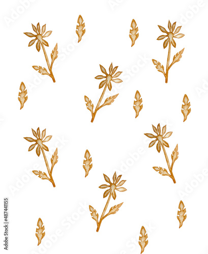 Hand-drawn watercolor pattern of inflorescences and brown flowers.