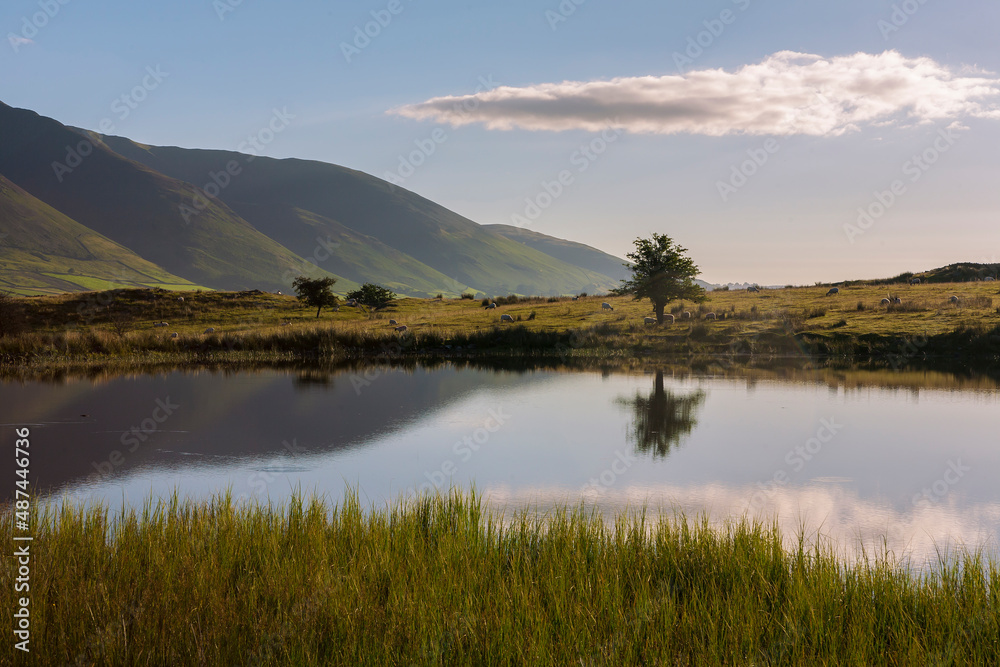 Tewet Tarn and beyond, across the Greta Valley, Blencathra, near Keswick, Lake District, Cumbria, UK, on a peaceful early Summer's morning