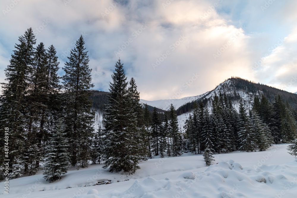 Winter mountain landscape. Landscape in the Tatras.