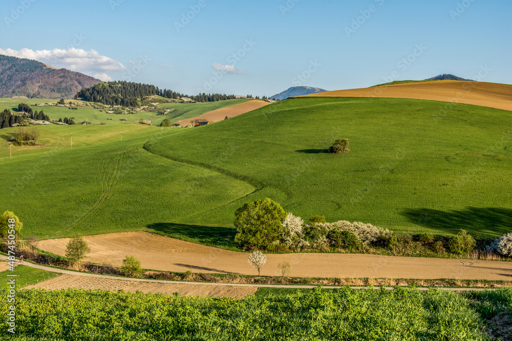 landscape with green grass and hills, spring, Turiec, Slovakia, Europa