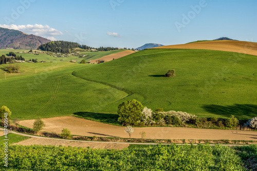landscape with green grass and hills, spring, Turiec, Slovakia, Europa © Michal