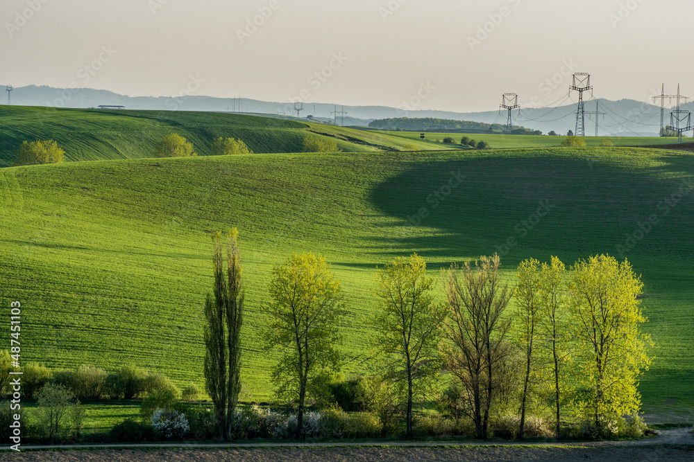 Obraz premium landscape with fields and trees, spring, Turiec, Slovakia, Europa