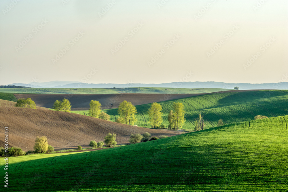 landscape with field, spring, Turiec, Slovakia, Europa