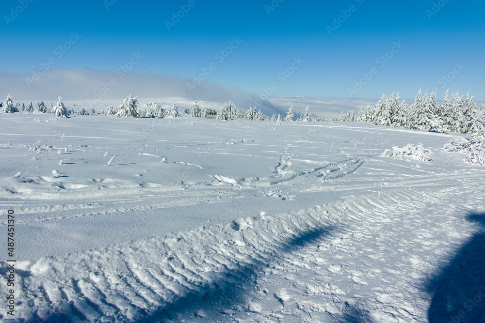 Amazing Winter landscape of Vitosha Mountain, Bulgaria