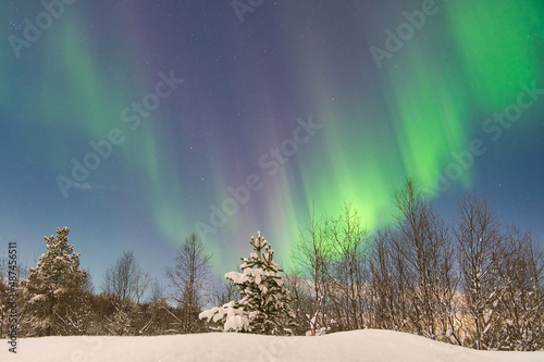 Nordlichter in der Arktis