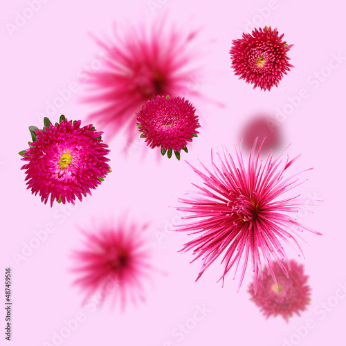 Fototapeta Naklejka Na Ścianę i Meble -  Flying fresh flowers on pink background