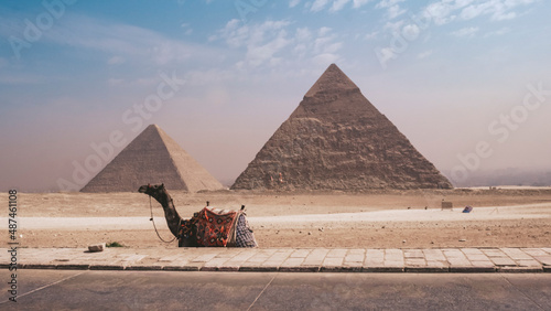 Pyramids and Camel in Cairo Egypt