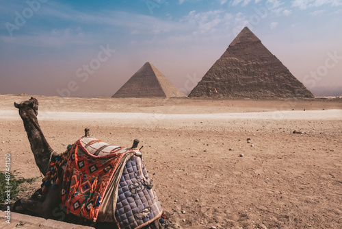 Pyramids and Camel in Cairo Egypt