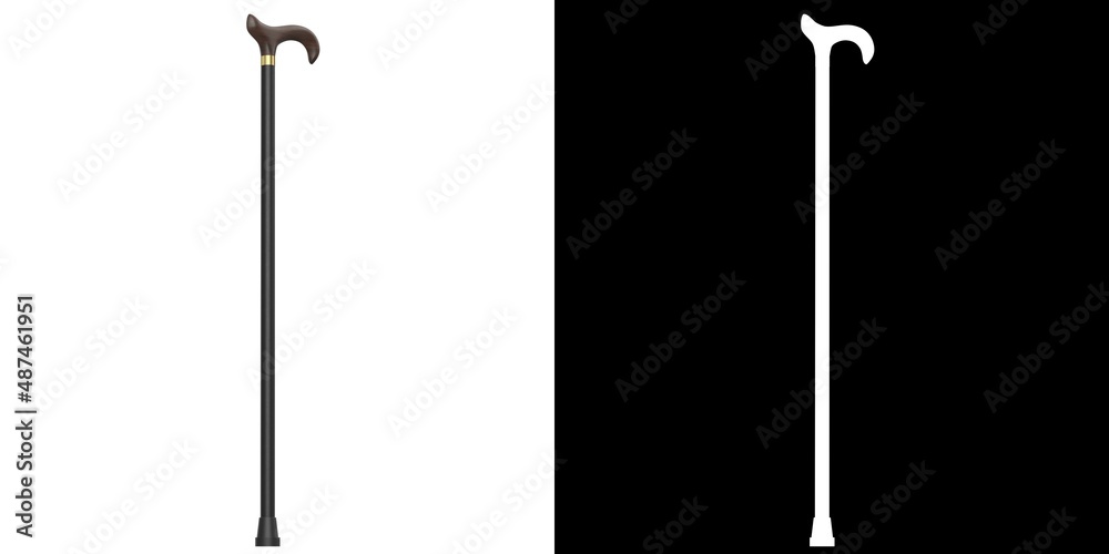 3D rendering illustration of a walking stick 3D rendering illustration of a walking stick
