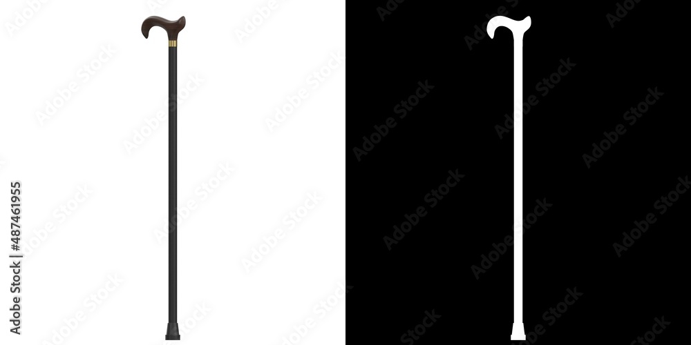 3D rendering illustration of a walking stick 3D rendering illustration of a walking stick