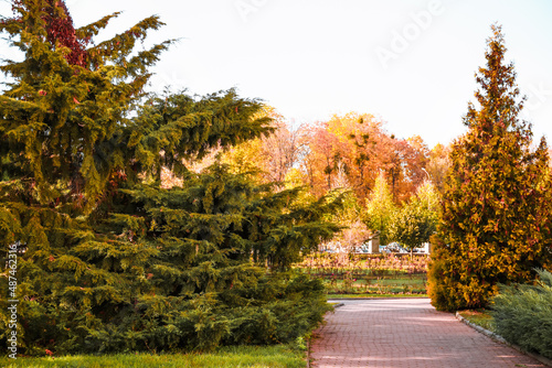 View of beautiful autumn pa...