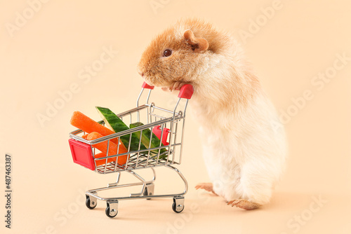 Funny Guinea pig and shoppi...