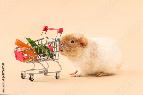 Funny Guinea pig and shoppi...