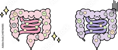 腸内環境のイラスト