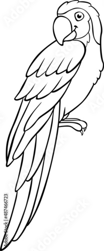 Coloring page. Cute parrot yellow macaw sits and smiles.