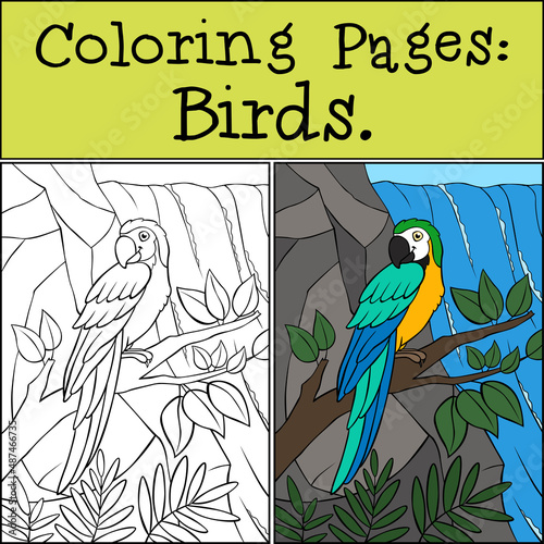 Coloring page with example. Cute parrot yellow macaw sits and smiles.