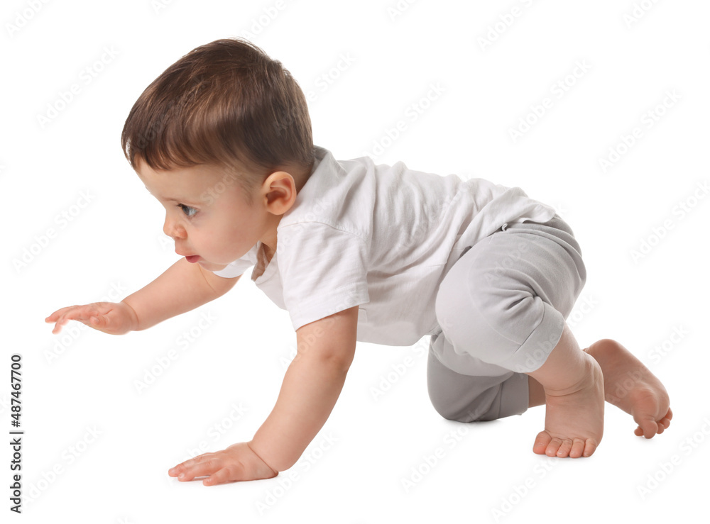 Cute little baby crawling on white background Cute little baby crawling on white background