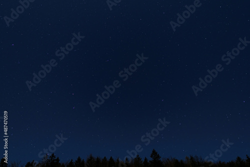 Constellation Ursa Major over the forest.