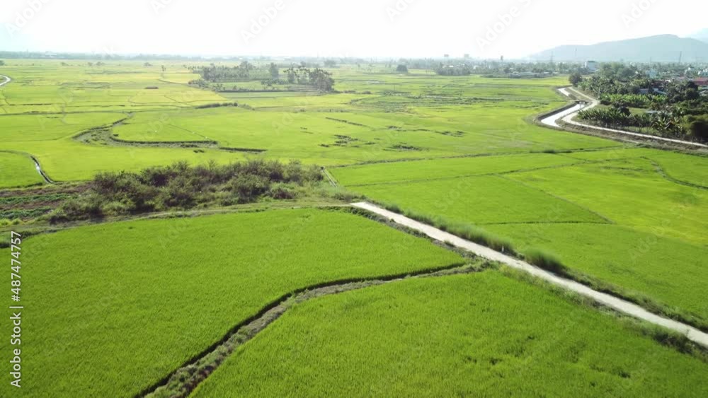 Awesome aerial view of bright green rice fields, Vietnam Awesome aerial view of bright green rice fields, Vietnam