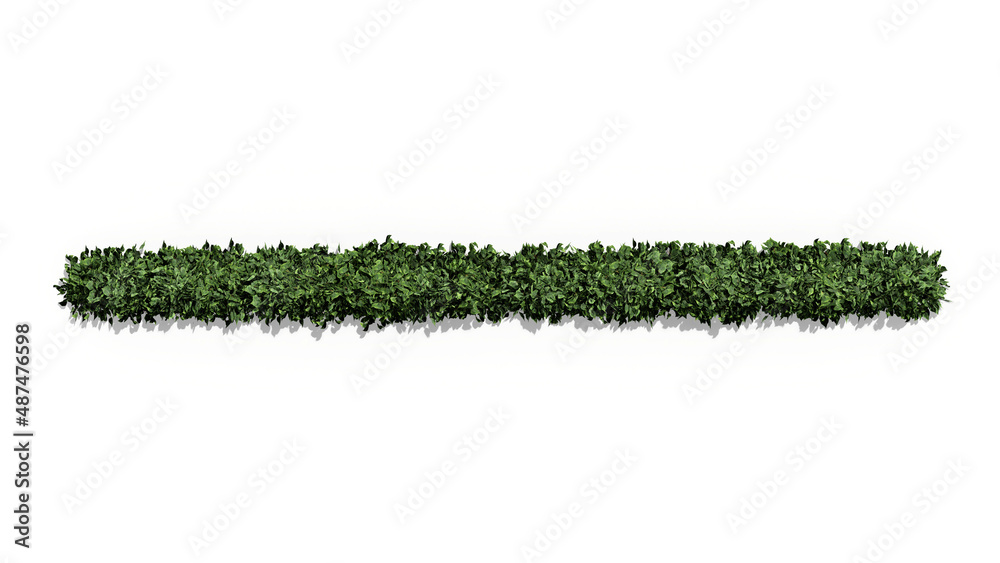 3D green bush tree top view isolated on white background, for use visualization in architectural design 3D green bush tree top view isolated on white background, for use visualization in architectural design