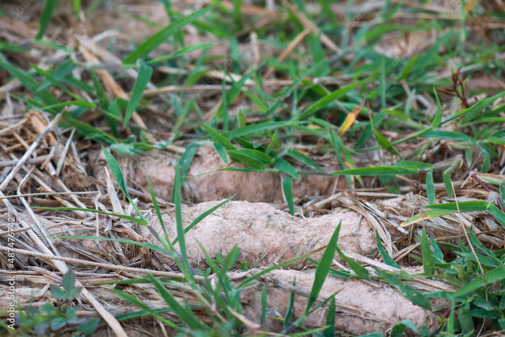 Soil is a naturally occurring material from physical decay. and the chemistry of rocks and minerals combined with organic matter Soil is a naturally occurring material from physical decay. and the chemistry of rocks and minerals combined with organic matter