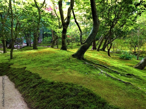 苔むす日本庭園