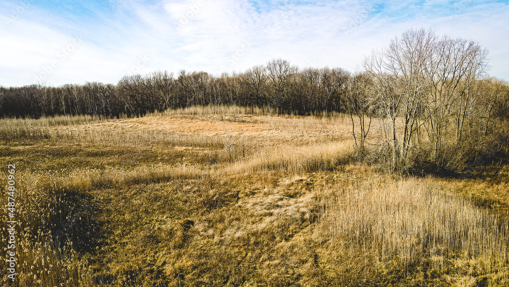 Fototapeta premium Vibrant meadow in autumn