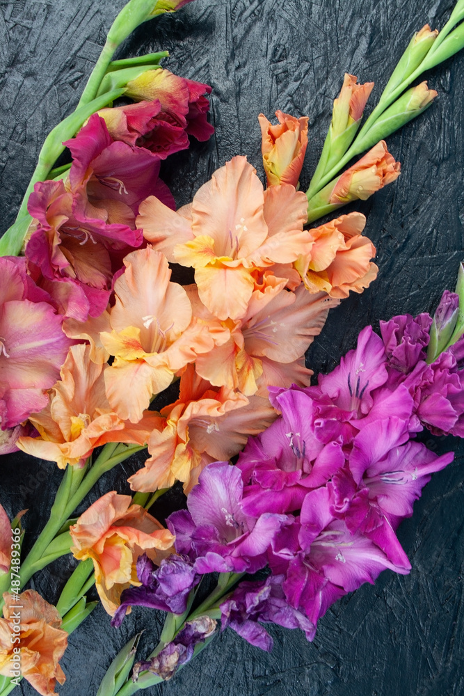 Obraz premium gladiolus, gladiolus flower, frame, background, place for text, garden flower, love, heart
