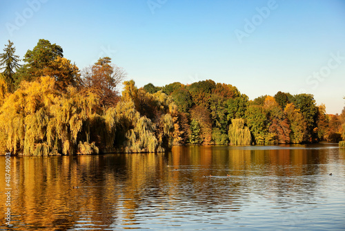 Beautiful view of lake in a...