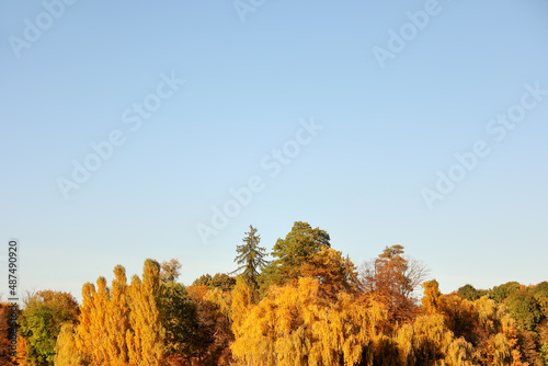 Autumn trees on blue sky ba...