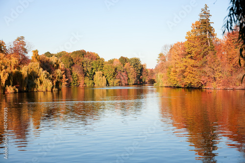Beautiful view of lake in a...