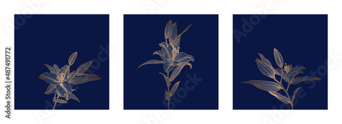 A set of frames of lily flowers linear drawings with bronze metallic outline on deep blue background. Design for print, poster, cover, banner, fabric, invitation, postcard and packaging.