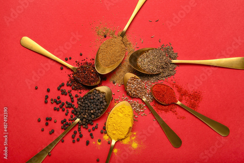 Composition with spoons of different spices on red background