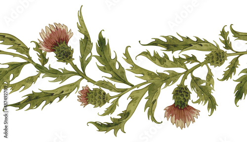 Tableau sur toile Vintage watercolor border with thistle and leaves