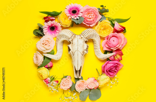 Fototapeta Naklejka Na Ścianę i Meble -  Skull of sheep with flowers on color background