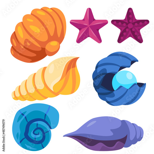 sea shell mollusk clam starfish snail underwater aquatic marine object illustration in colorful nature