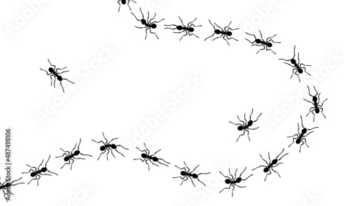 Worker ants trail line flat style design vector illustration isolated on white background. Top view of ants bug road trail marching in the line row. Pest control or insect searching concept.