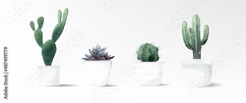 Watercolor cactus minimal collection 2 in cement pot vector design