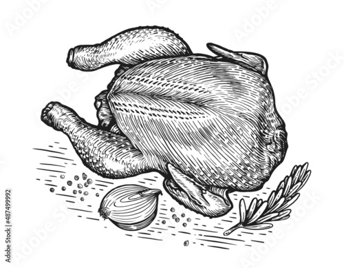 Chicken meat, broiler sketch. Cooking, food concept. Hand drawn vintage vector illustration