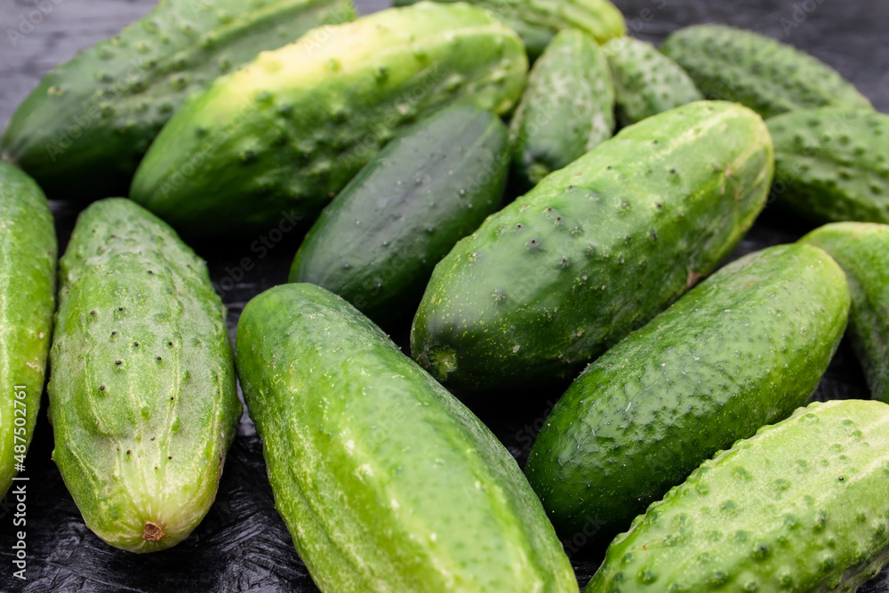 cucumbers, cucumber, food, garden, texture, background, place for text cucumbers, cucumber, food, garden, texture, background, place for text