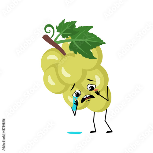 Grape character with crying and tears emotion, sad face, depressive eyes. Person with melancholy expression, berry emoticon. Vector flat illustration