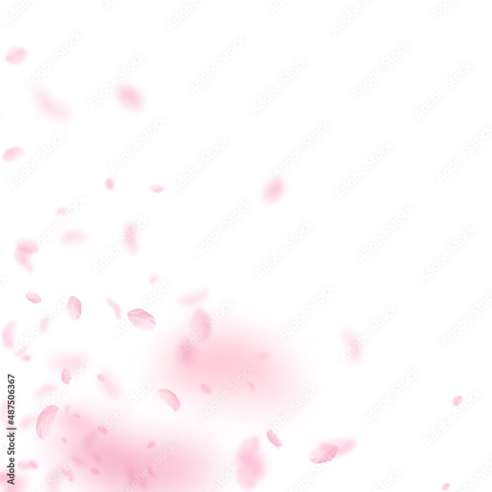 Sakura petals falling down. Romantic pink flowers corner. Flying petals on white square background. Love, romance concept. Attractive wedding invitation.