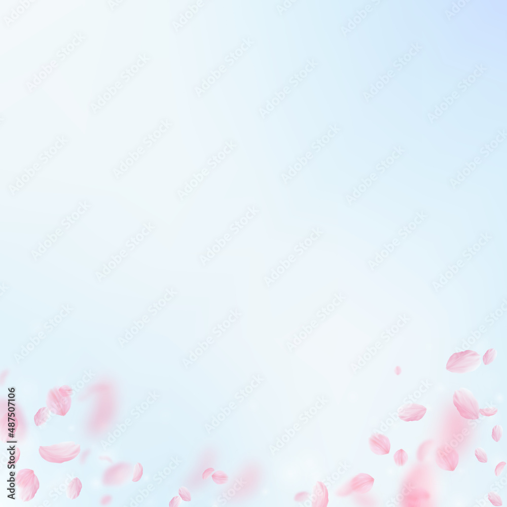 Sakura petals falling down. Romantic pink flowers gradient. Flying petals on blue sky square background. Love, romance concept. Amazing wedding invitation.