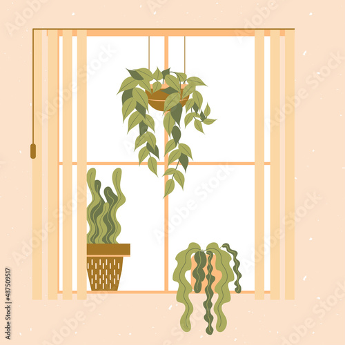 Window in a room with green houseplant on the windowsill. Flat vector isolated vector illustration