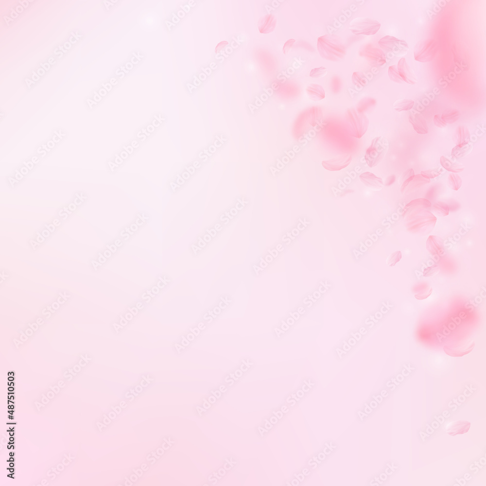 Sakura petals falling down. Romantic pink flowers corner. Flying petals on pink square background. Love, romance concept. Decent wedding invitation. Sakura petals falling down. Romantic pink flowers corner. Flying petals on pink square background. Love, romance concept. Decent wedding invitation.