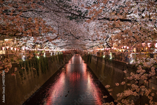 夜の目黒川