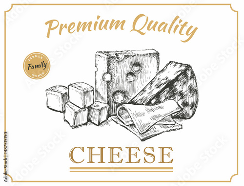 Cheese Plate Hand Drawing Vector Illustration. Cheddar. Gorgonzola. Gouda. Blue cheese. Roquefort.
