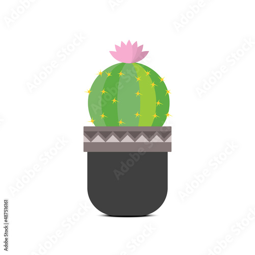 Cactus in flower pot flat illustration vector design isolated on white background. Botany illustration